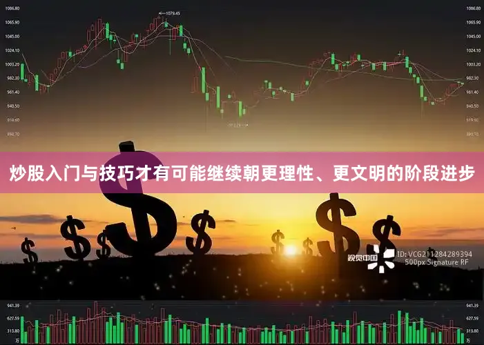 炒股入门与技巧才有可能继续朝更理性、更文明的阶段进步