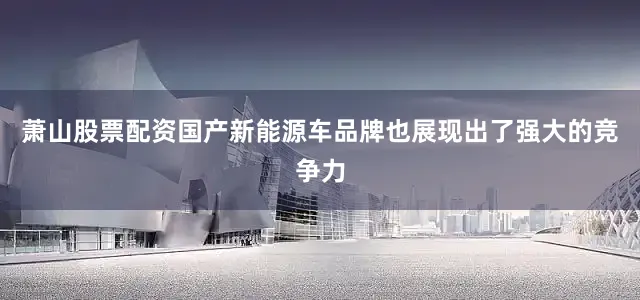 萧山股票配资国产新能源车品牌也展现出了强大的竞争力