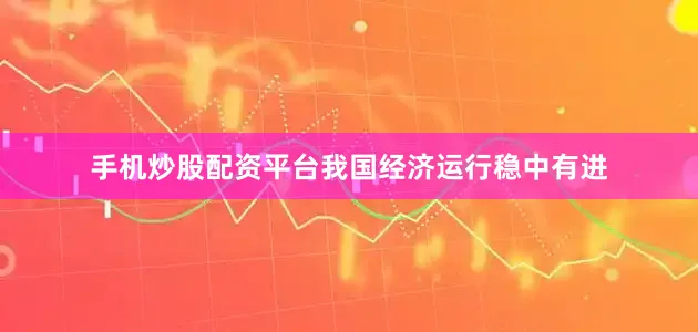 手机炒股配资平台我国经济运行稳中有进