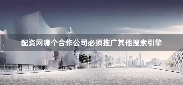 配资网哪个合作公司必须推广其他搜索引擎