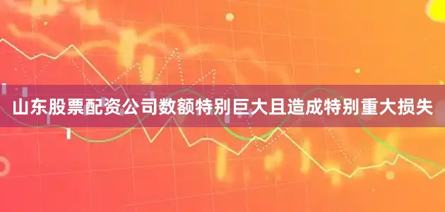 山东股票配资公司数额特别巨大且造成特别重大损失