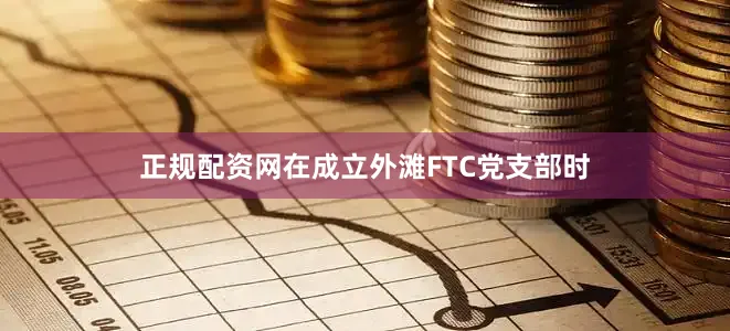 正规配资网在成立外滩FTC党支部时